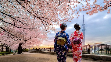 Весенние каникулы в Японии. Март 2024. 