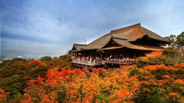 Экскурсионный тур в Японию #2. Клены.