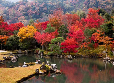 Осенняя Япония – туры на ноябрь от Мейджик Тур