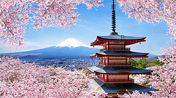 Япония и Китай - Большое путешествие №1. САКУРА. 2024