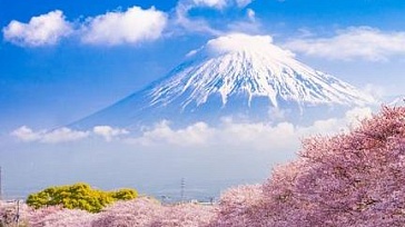 Япония - Большое путешествие №1. Сакура 2024.