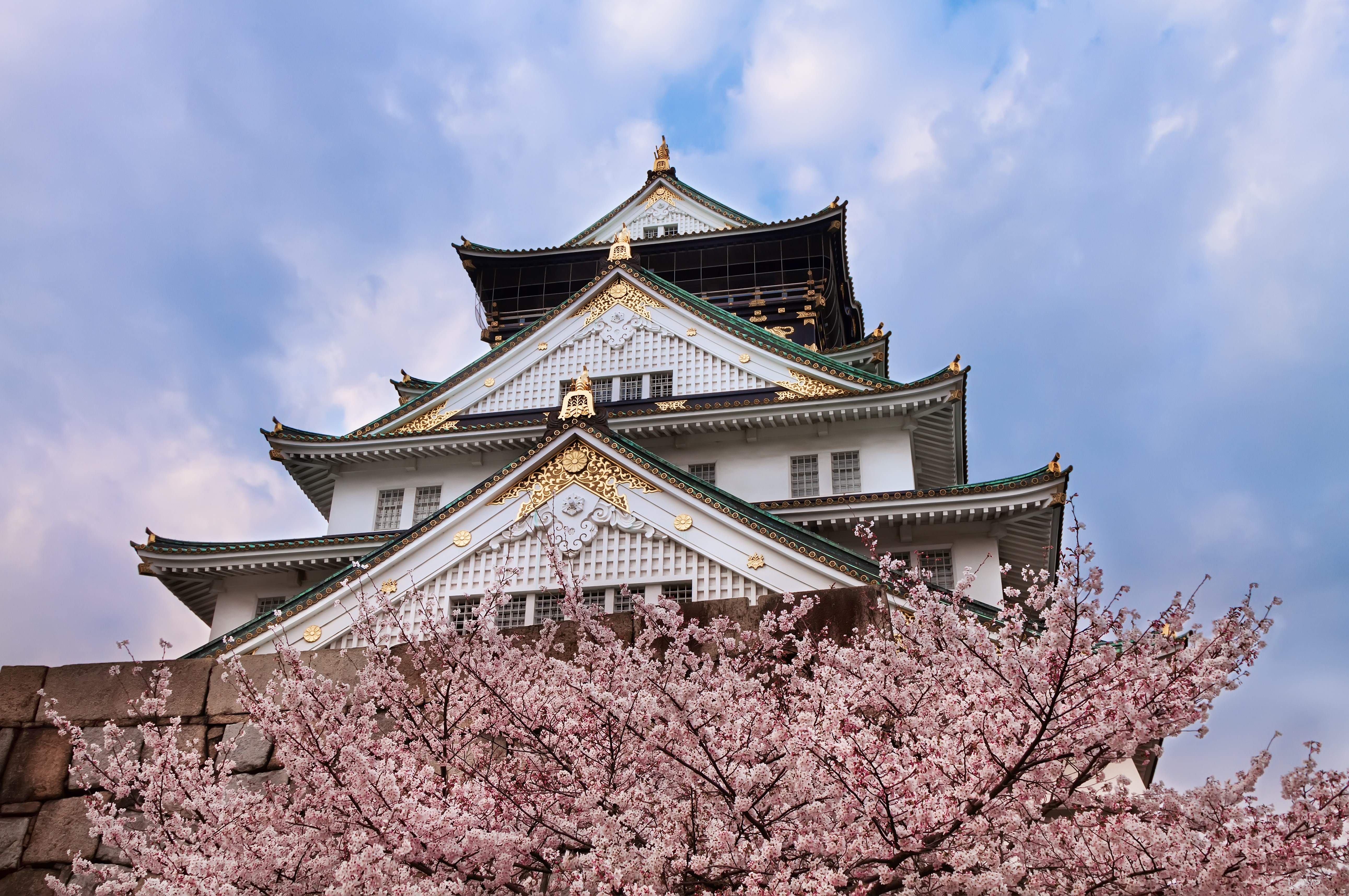 Осакский замок сакура большой.jpg