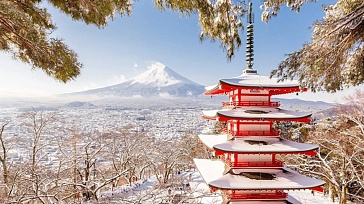 Большое путешествие в Японию. Новый год 2023.